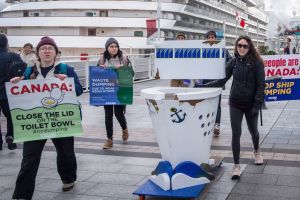 Американские круизные лайнеры используют воды Канады, как туалет