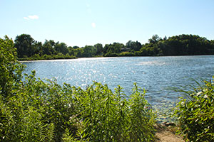 Heart Lake, Brampton, Ontario