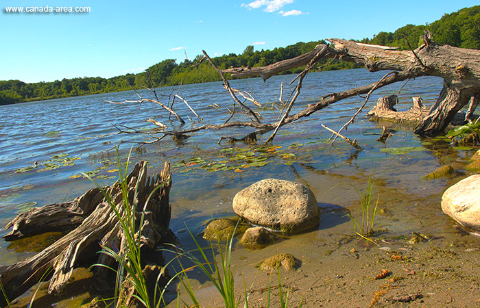 Heart Lake