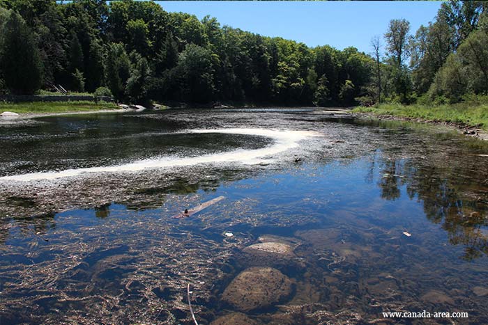 Sauble Falls природа